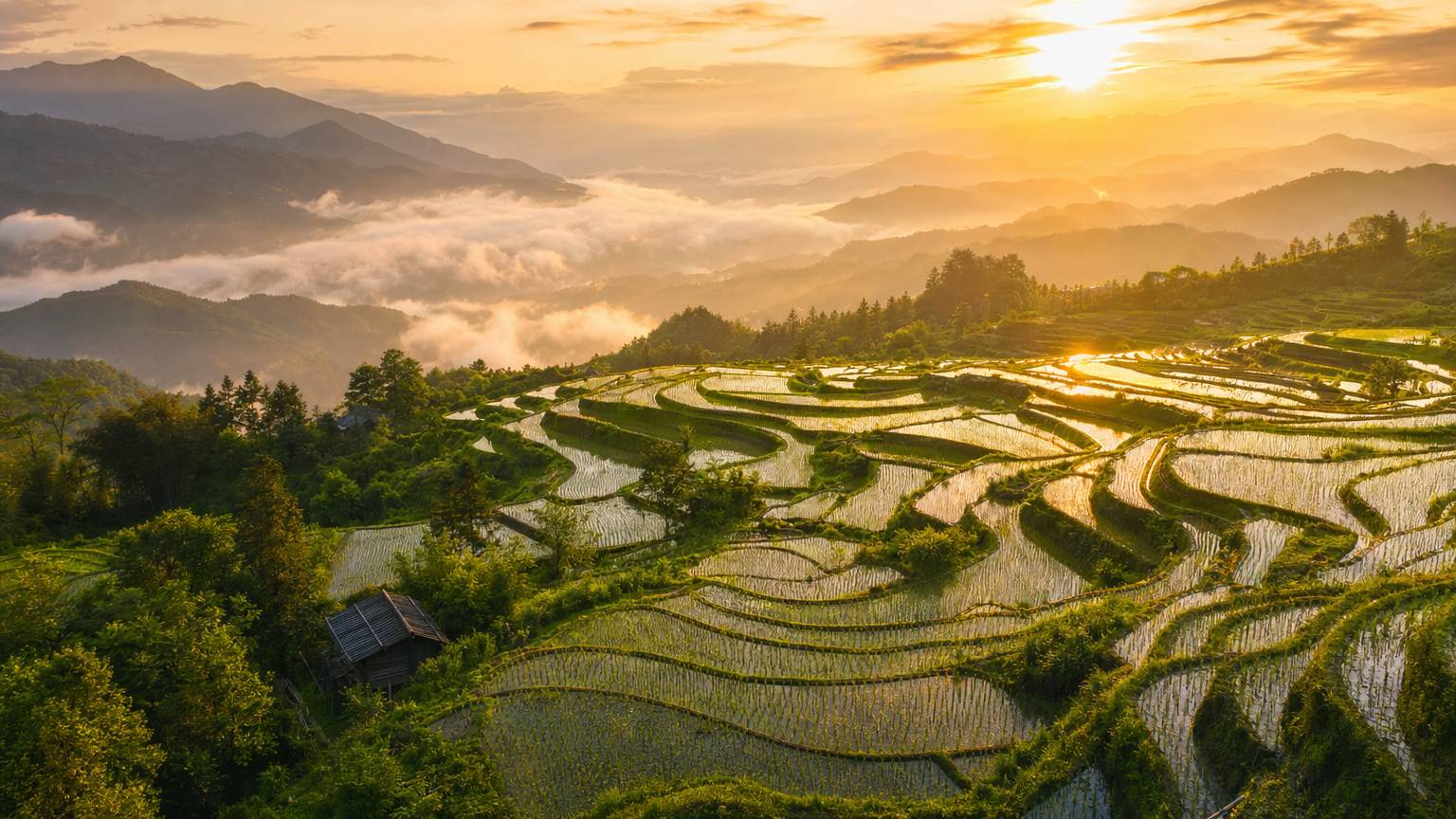 平台旅行volg日记